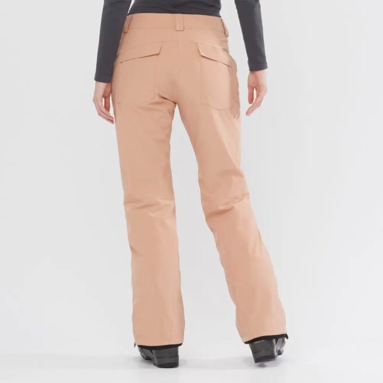 Apricot Salomon Edge Women's Ski Pants | IE GI9057